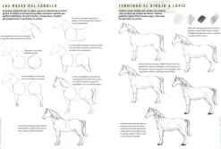 Los cuadernos del dibujante Caballos y Ponis