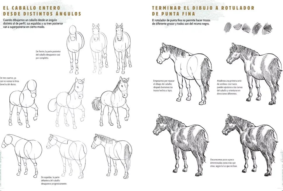 Los cuadernos del dibujante Caballos y Ponis