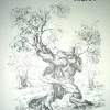 Maestros actuales del dibujo Gaspar Riera Paisajes Rústicos 01