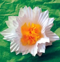 Make in a day Paper flowers