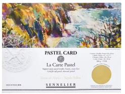 Pack 6 Papeles Pastel Card Sennelier 40x30cm 360g/m²