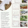 Paisajes al óleo