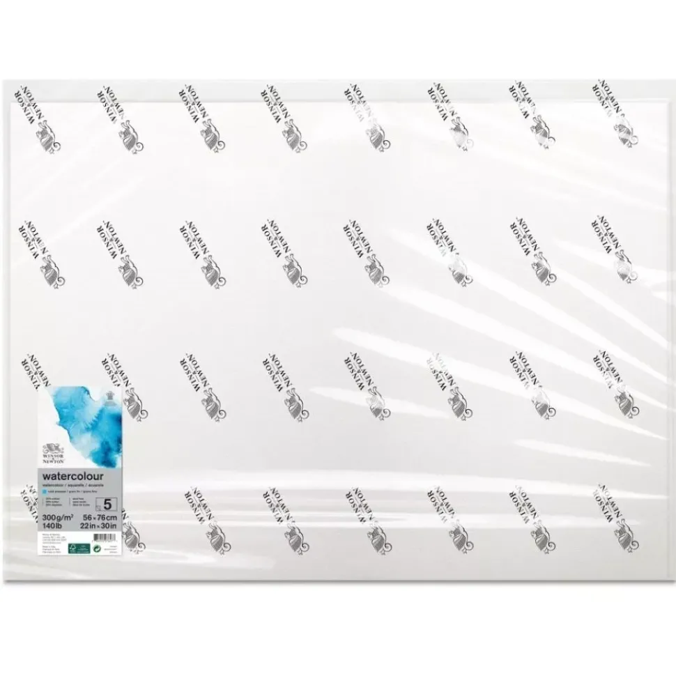 Papel acuarela 25% algodón grano fino Winsor & Newton 56x76cm 300gr