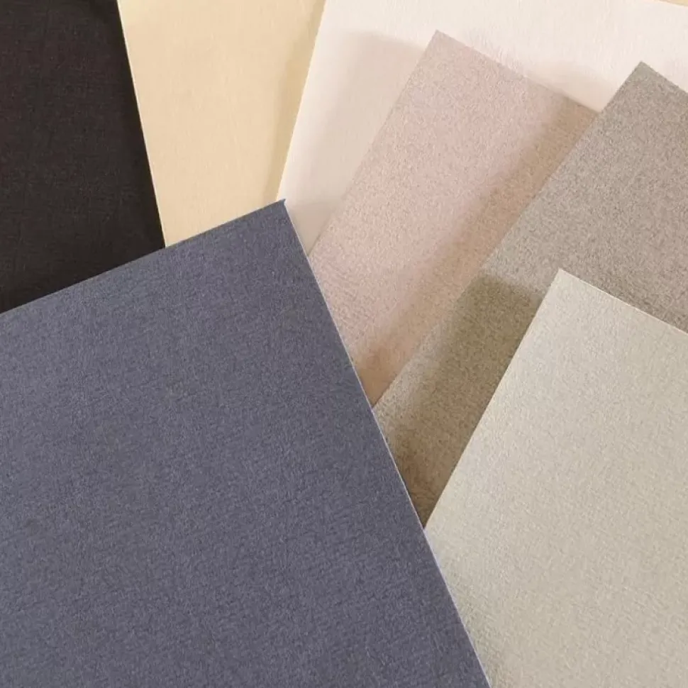 Papel Artístico Ingres Vidalon Canson 50x65cm 100g/m²
