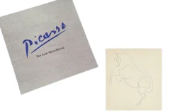 Picasso The Lost Sketchbook
