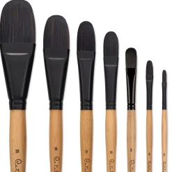 Pincel 6400 Lengua de Gato Mango Largo Catalyst Princeton