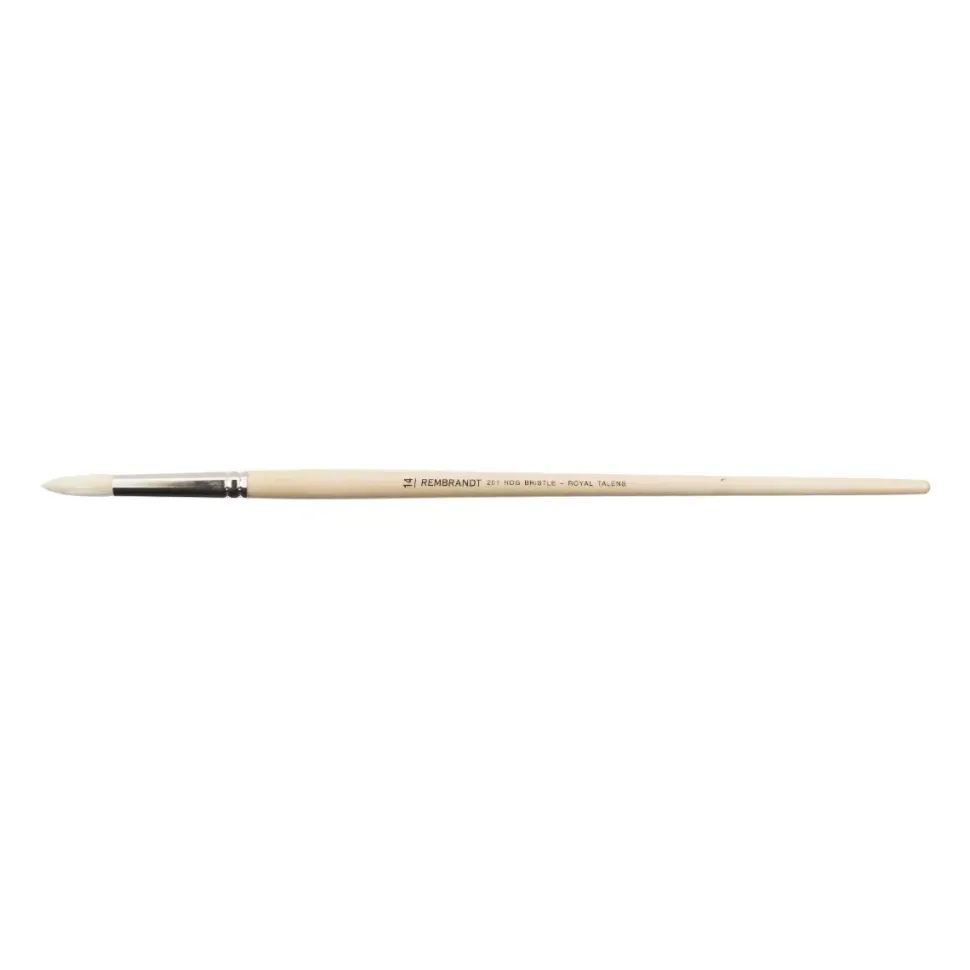 Pincel Cerda Redondo Mango Largo Serie 201 Rembrandt
