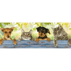 Pinta con diamantes Hang in there Diamond Dotz 81x28cm