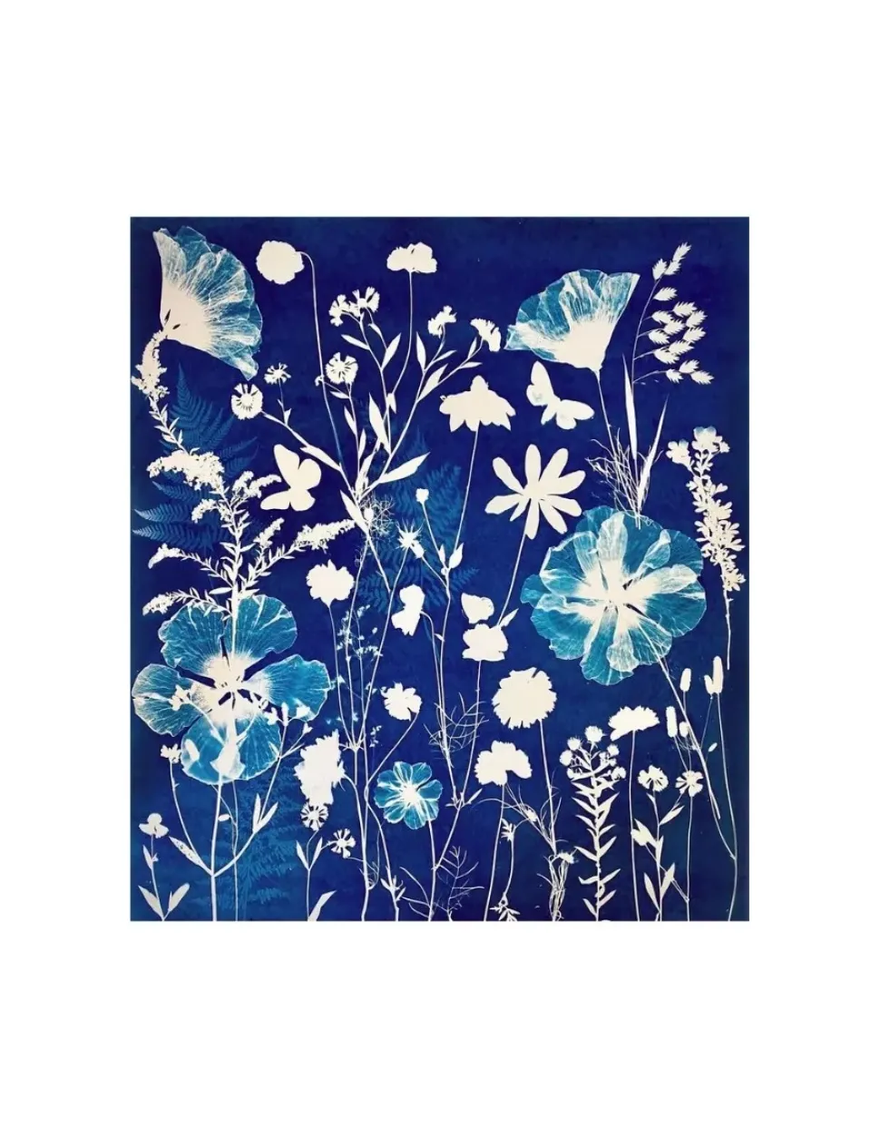Set 2 componentes para Cianotipia Jacquard