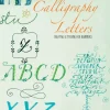 The art of calligraphy letters