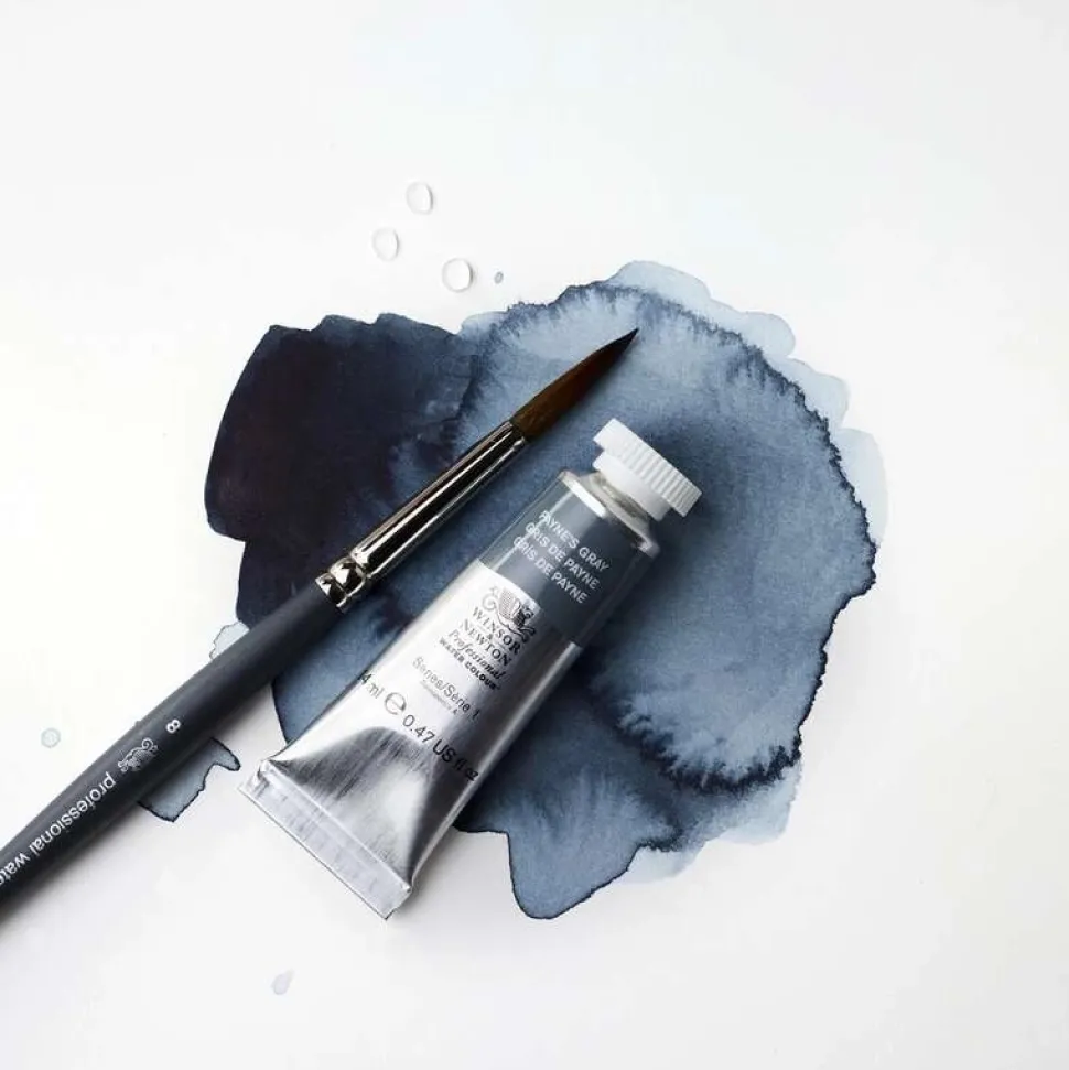 Tubo acuarela Professional Winsor and Newton 5ml