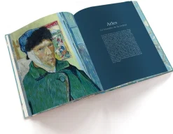 Van Gogh The Bigger Picture