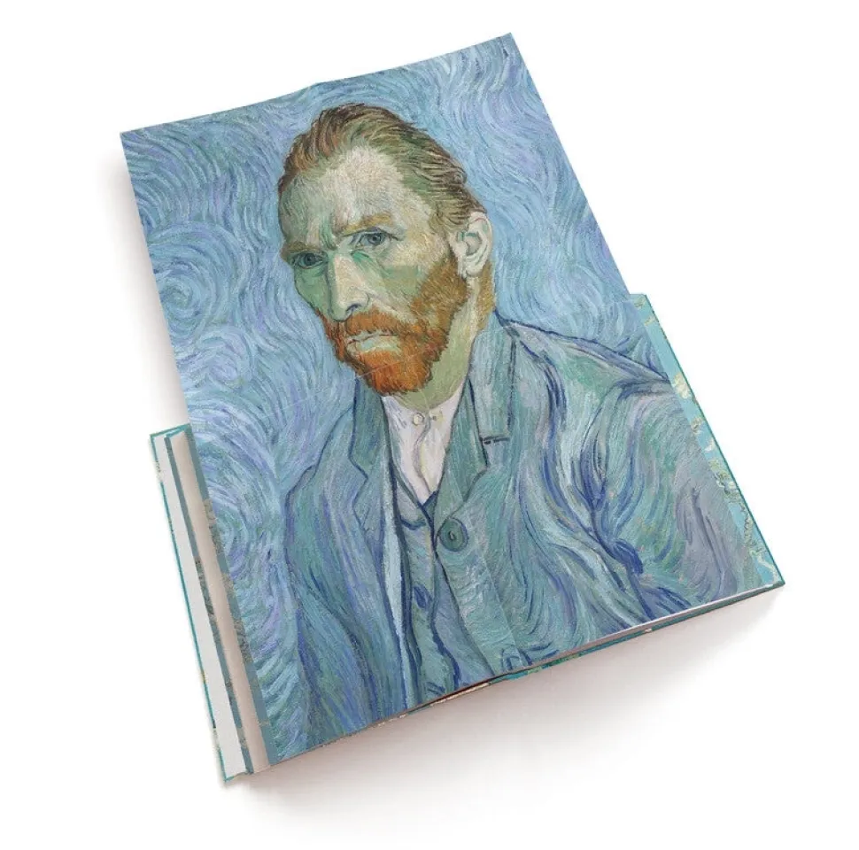 Van Gogh The Bigger Picture